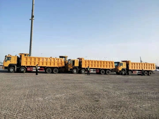 Cnhtc HOWO Sinotruk 8X4 ダンプトラック/トッピングトラック/重荷トラック 300Lの燃料タンカー