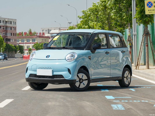 2920×1493×1621mm 小型電気SUV 都市用電池 80000×100000km